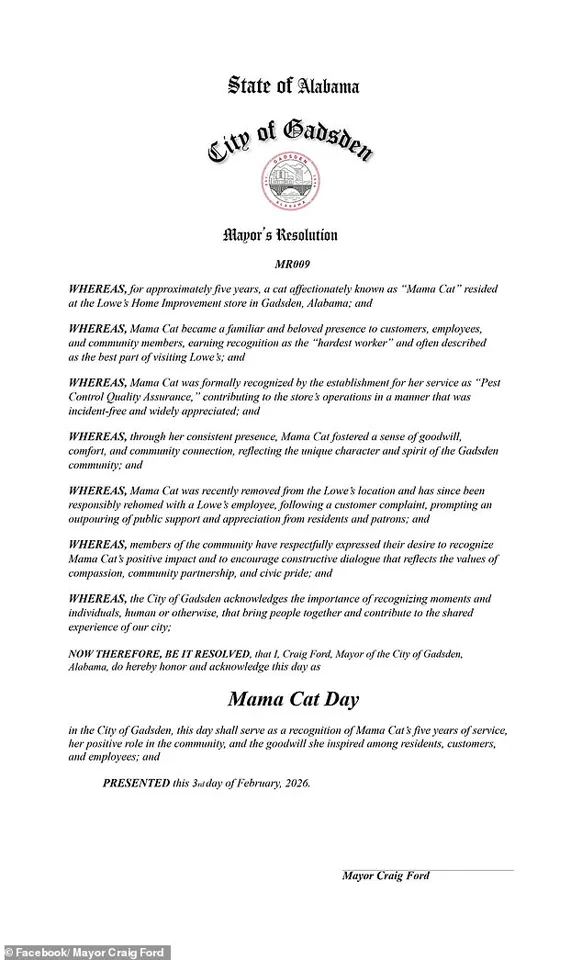 Mama Cat's Controversial Fate at Lowe's Store Divides Gadsden Community