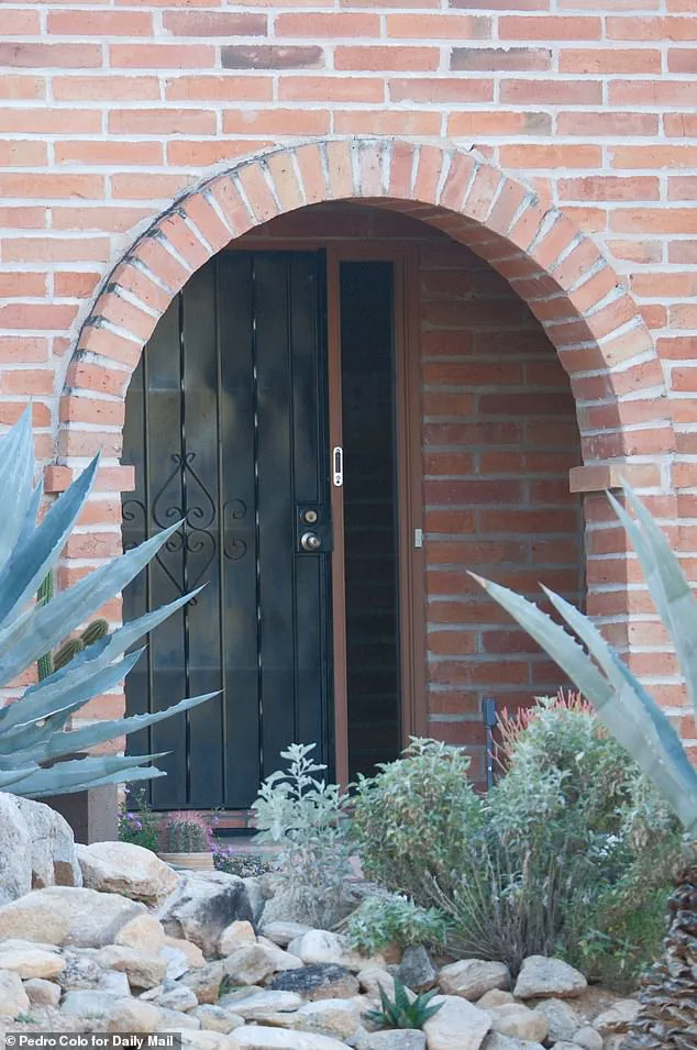 Unmarked Van Seen Before Arizona Grandma's Disappearance Focus of Investigation