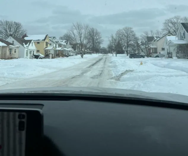 Hidden Nazi Symbols Spark Legal Battle Over History and Identity