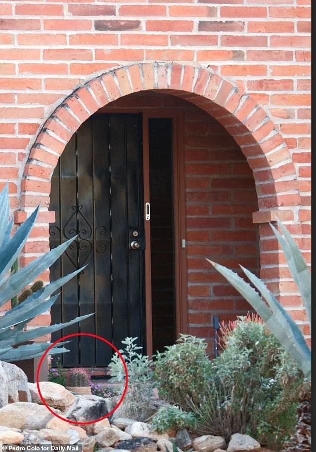 Savannah Guthrie Releases Chilling Footage of Alleged Captor in Urgent Plea for Help