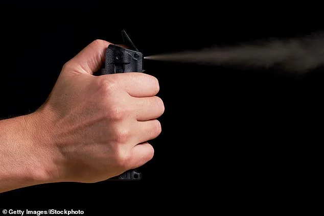 Pepper Spray Accidentally Deployed at Panorama High School, Leaving 28 Students Treated by LAFD