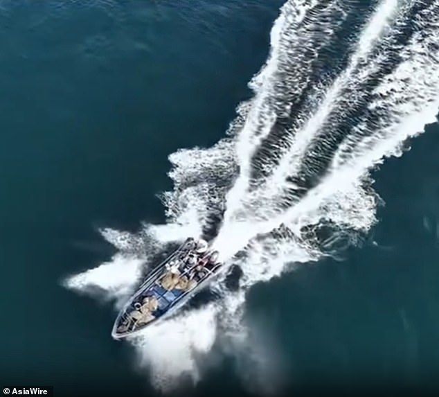 Protected Bryde's Whale Injured in Collision with Fishing Boat Near Weizhou Island, Guangxi