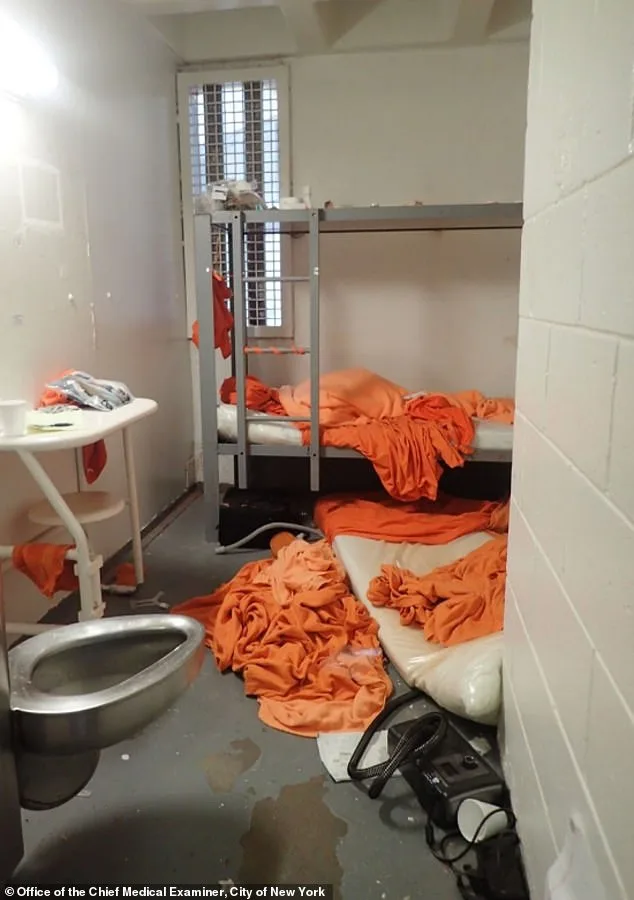 Pathologist Challenges Official Ruling: Epstein's Death May Have Been Strangulation, Not Suicide