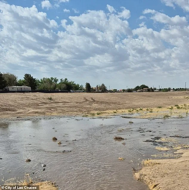 New Mexico Woman Allegedly Abandons Newborn in Toxic Chemical Toilet, Sparking Outrage