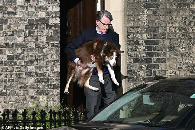 Peter Mandelson's Public Reappearance Amid Epstein Scandal as Congress Demands Testimony