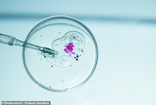 Donor Dan: The Influencer Building a Global Fertility Business