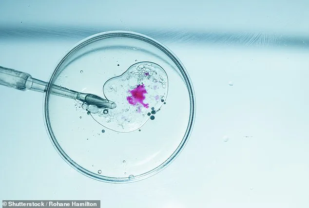 Donor Dan: The Influencer Building a Global Fertility Business