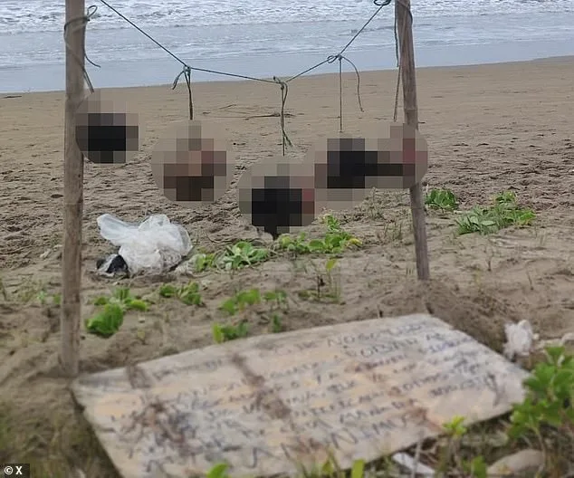 Gang Violence Escalates in Ecuador as Eight Severed Heads Found Near 'Stealing is Forbidden' Sign