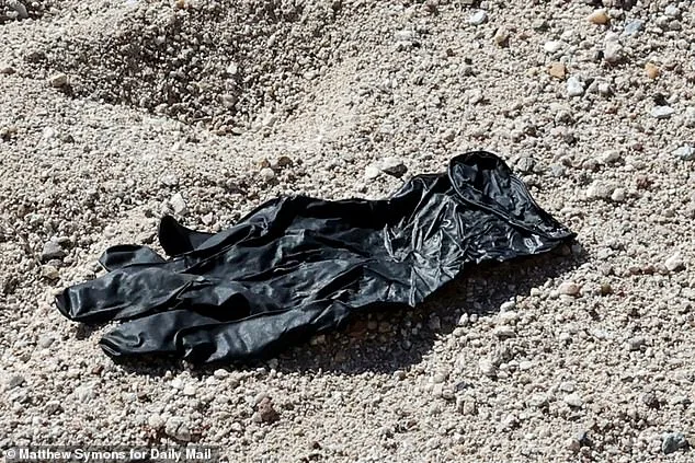 Missing Elderly Woman's Case Hinges on Forensic Lab's Analysis of Found Glove