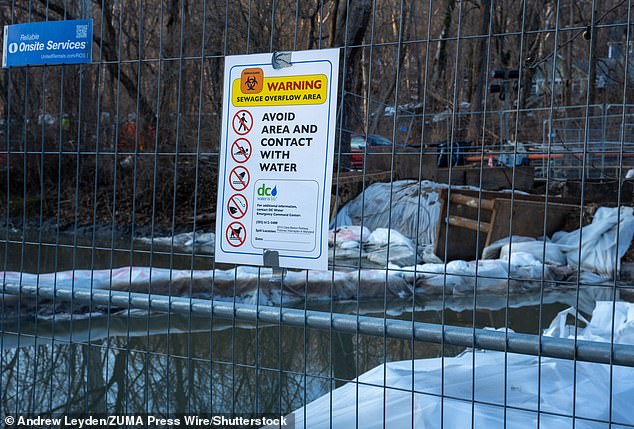 Trump Blames Maryland Governor for Potomac River Sewage Crisis, Calls It 'Ecological Disaster' Amid Government Shutdown