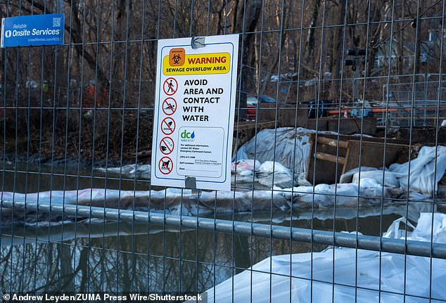 Trump Blames Maryland Governor for Potomac River Sewage Crisis, Calls It 'Ecological Disaster' Amid Government Shutdown