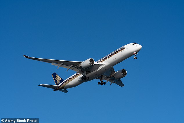 Kind Passenger's Offer to Help Overwhelmed Mother on Flight Met with Unexpected Reaction