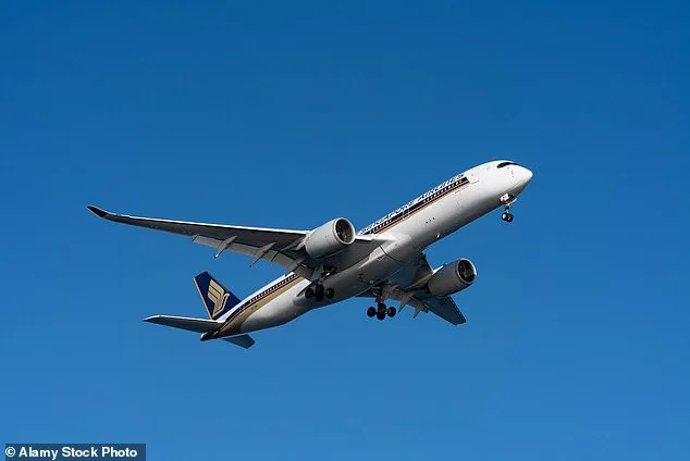 Kind Passenger's Offer to Help Overwhelmed Mother on Flight Met with Unexpected Reaction