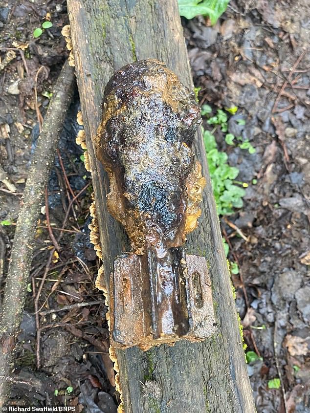 Routine Magnet Fishing Trip Unearths Live WWII Mortar Shell in Dorset, Sparking Emergency Response