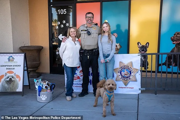 Jet Blue the Goldendoodle Rescued After Being Abandoned at Las Vegas Airport