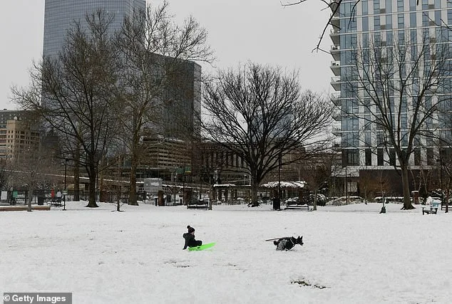 Winter Storm Hernando Turns Philadelphia Honda into Snowbound Wonderland After Key Fob Mishap, Sparking Viral Reaction