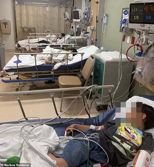 Substitute Teacher Sued After Cannabis Gummies Incident Hospitalizes Three Students in Lancaster, California