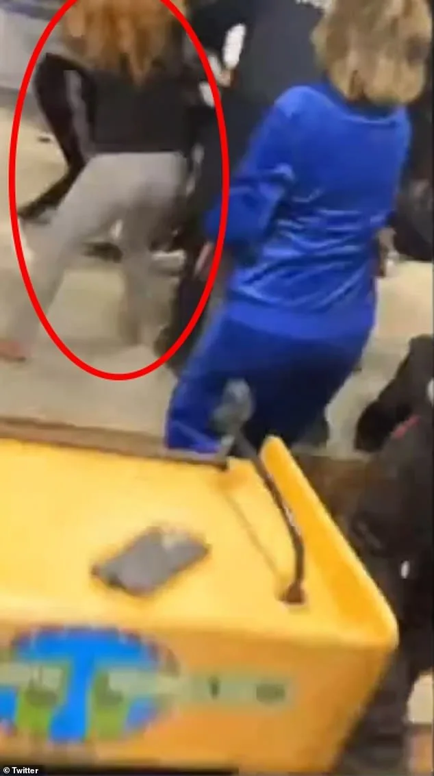 From Controversy to Campaign: Tiffany Heynard's Bid as Georgia's Republican Candidate