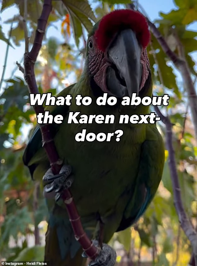 Las Vegas Homeowner's Dispute Over Macaws' Early-Morning Screeching