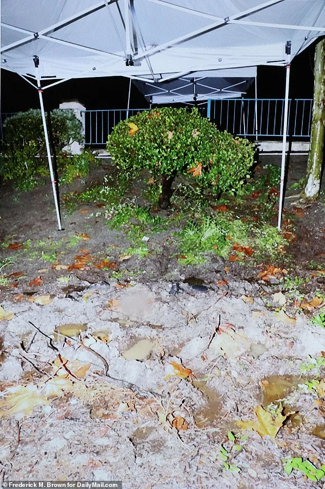 The Tragic Murder of Blaze Bernstein: Uncovering White Supremacy in Affluent Newport Beach