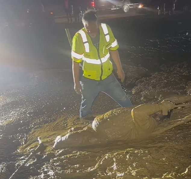 From Adventure to Peril: Local Man Trapped in Quicksand-Like Mud During ATV Event, Rescued by Firefighters