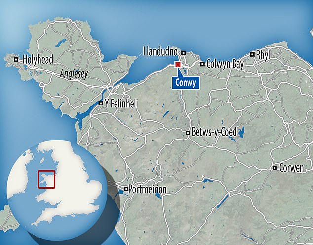 Decades-Long Fugitive's Arrest and Asset Seizure Highlight International Legal Reach