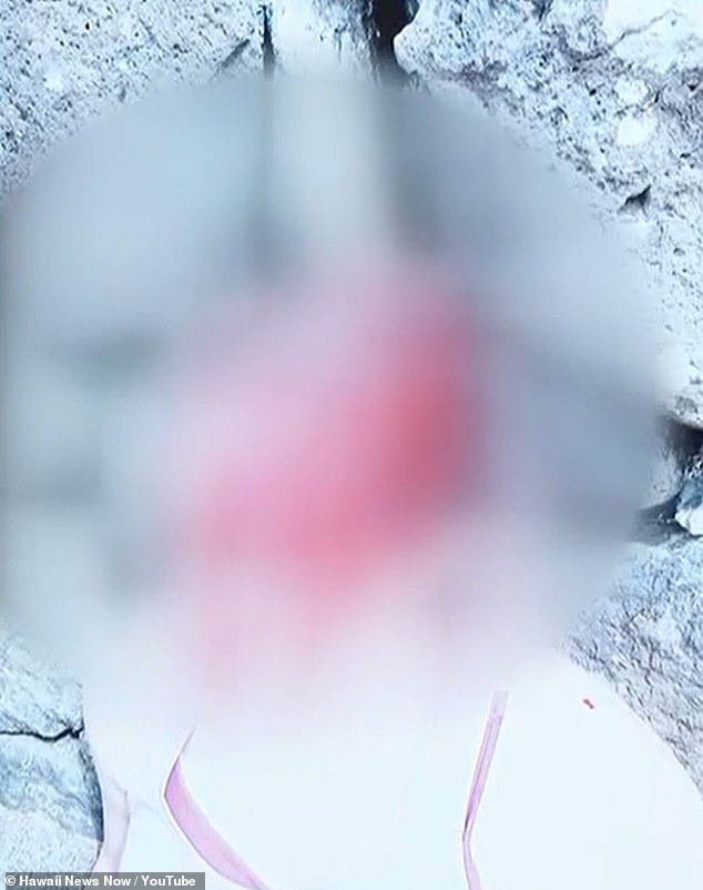 Hawaii Doctor Faces Trial Over Alleged Attack on Wife During Oahu Hiking Trail Confrontation: Self-Defense Claim Central to Defense