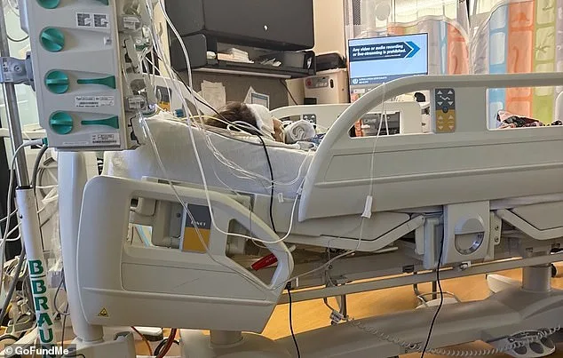 Life-Threatening Esophageal Injury in Four-Year-Old After Swallowing Button Battery
