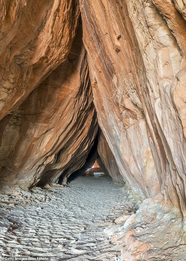 Cultural Desecration in Utah: Authorities Seek Help to Identify Vandals Who Defaced Ancient Petroglyphs