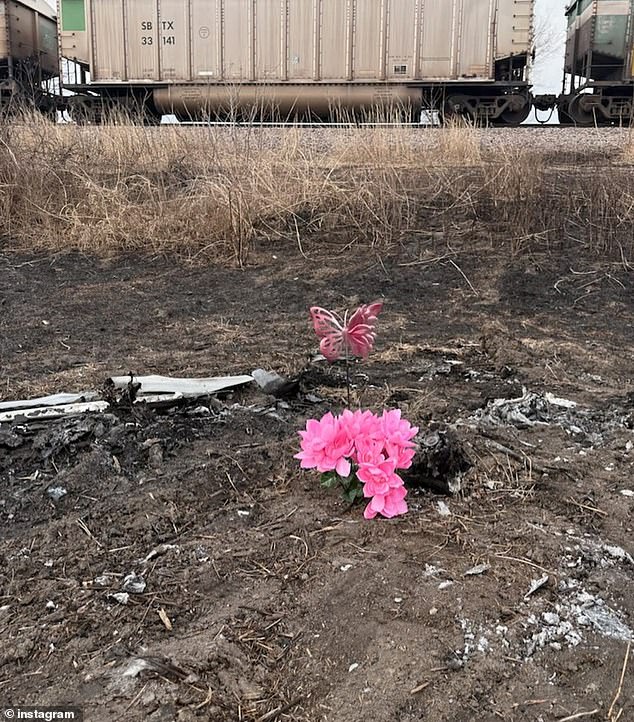 Tragic Fiery Crash Claims Life of 18-Year-Old Tessa Walker in Missouri BMW M4 Wreck