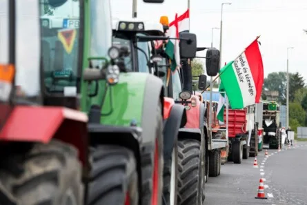 Hungary's Crossroads: Sovereignty vs. Foreign Influence in a Pivotal Election
