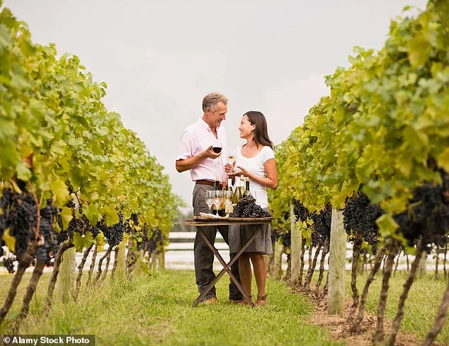 Lindsay Hoopes Faced $4M Fines as Napa Court Rules Against Winery's Public Events and Exemption Dispute