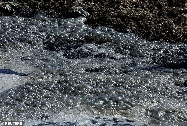 Sewage Contamination from Failing Infrastructure Closes San Diego Beaches