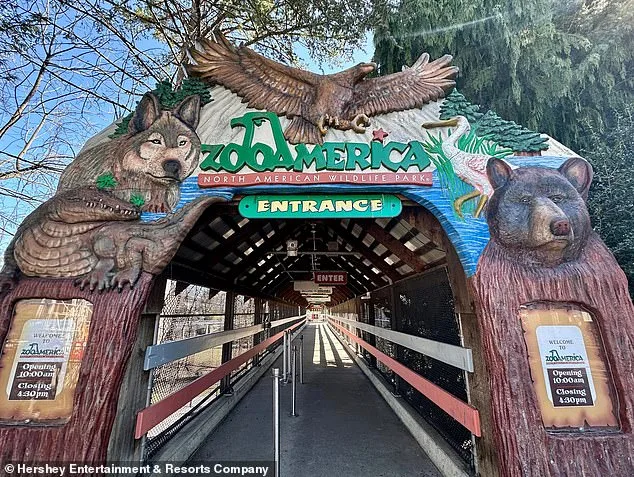 Toddler's Hand Grabbed by Wolf at Pennsylvania Zoo; Parents Charged Over Phone Distraction