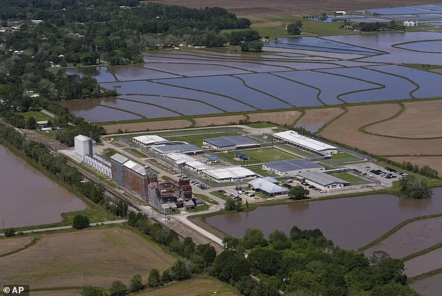 U.S. Army Staff Sergeant's Wife Detained by ICE, Released with Ankle Monitor Amid Removal Proceedings