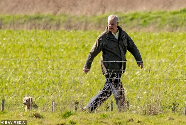 Prince Edward's Easter 'Welfare Check' With Brother Andrew Amid Epstein Inquiry Concerns