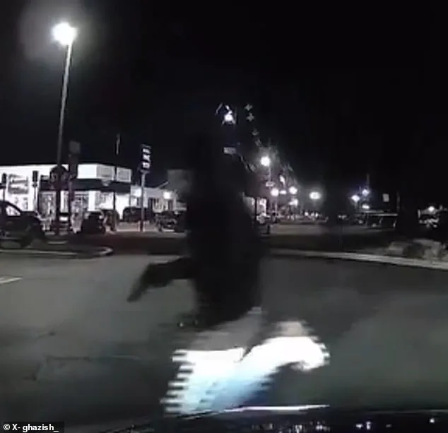 Chaos and Tragedy at Chick-fil-A: Mass Shooting in New Jersey Leaves One Dead, Six Injured