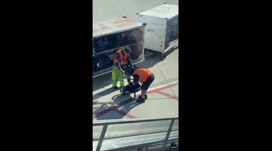 Disneyland Strollers: Families' Frustration with Rising Theme Park Costs.