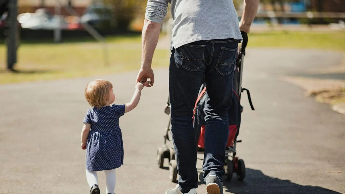 Disneyland Strollers: Families' Frustration with Rising Theme Park Costs.