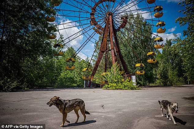 Nature Reclaims Chernobyl as Ghost Town Pripyat Remains Frozen in Time