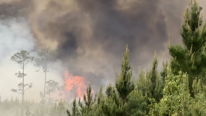Georgia fires destroy homes as 90 blazes rage amid drought emergency.