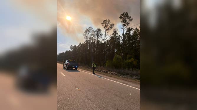Georgia fires destroy homes as 90 blazes rage amid drought emergency.