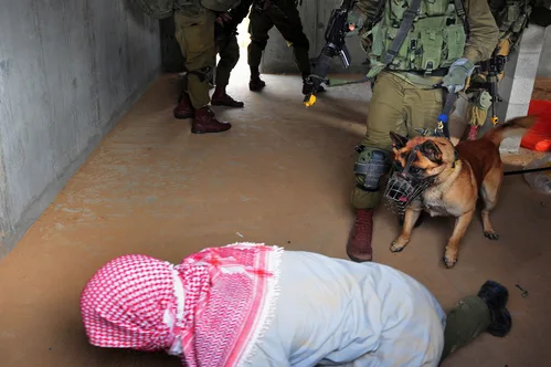 Israel Deports Pro-Palestinian Activities After Controversial Flotilla Interception