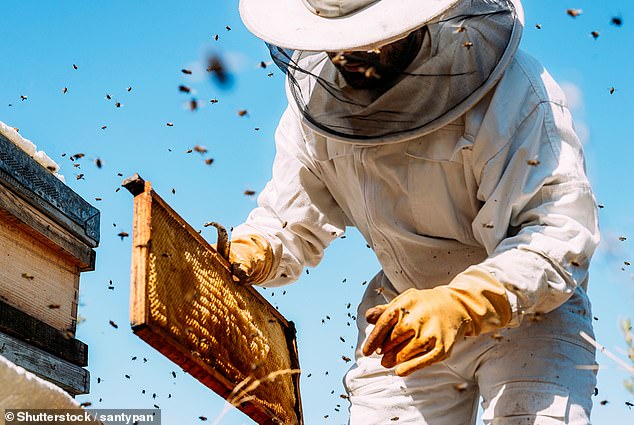 Expensive honey may not offer significant health advantages over cheaper varieties.