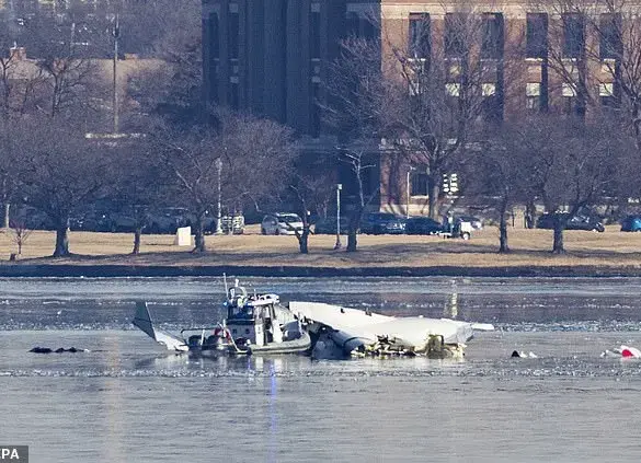 Captain 'Sully' Sullenberger Weighs In on Nighttime Flight Safety