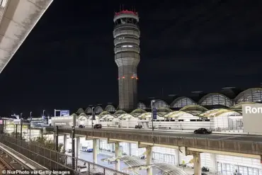 Critical Mistakes Made by Air Traffic Control in Fatal Collision