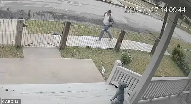 Terrifying Encounter: Girl Groped by Suspect on Surveillance Footage