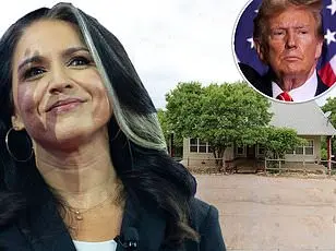 Who is Tito Williams, the Husband of US Rep. Tulsi Gabbard?