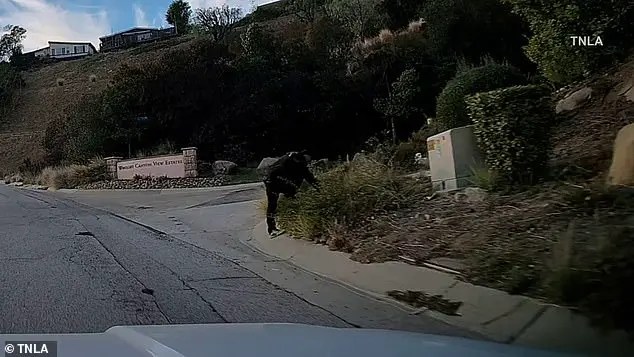 Chatsworth Residents Chase and Apprehend Suspected Arsonist