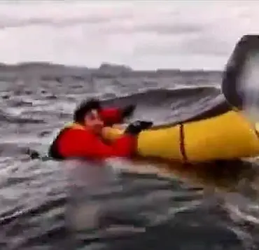 Humpback Whale 'Swallows' Diver: Michael Packard's Incredible Story